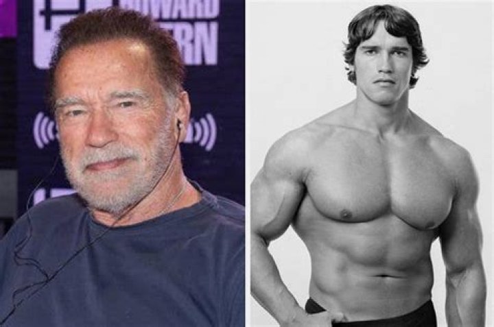 Arnold Schwarzenegger Now: The Evolution of a Hollywood Icon