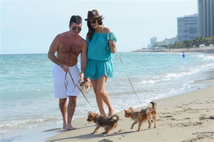 Simon Cowell's Dogs: A Deep Dive into His Canine Companions